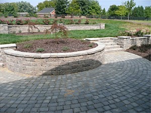 Photo 81